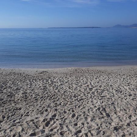 Le Palais Du Tropique Appartement Vue Mer 5E Etage Avec Ascenseur Juan-les-Pins Dış mekan fotoğraf
