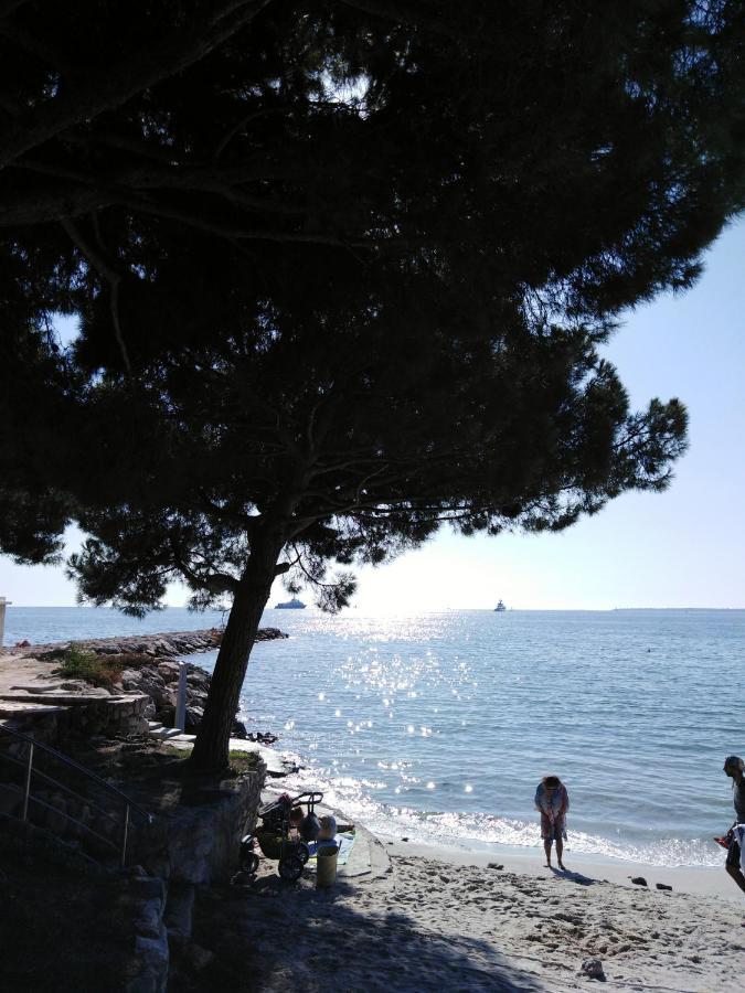 Le Palais Du Tropique Appartement Vue Mer 5E Etage Avec Ascenseur Juan-les-Pins Dış mekan fotoğraf