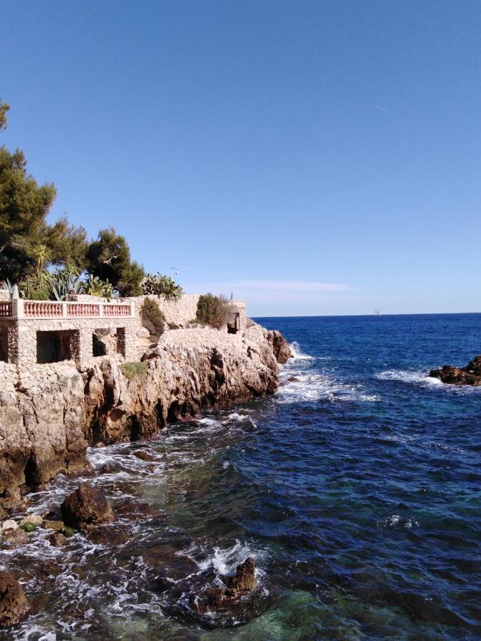 Le Palais Du Tropique Appartement Vue Mer 5E Etage Avec Ascenseur Juan-les-Pins Dış mekan fotoğraf